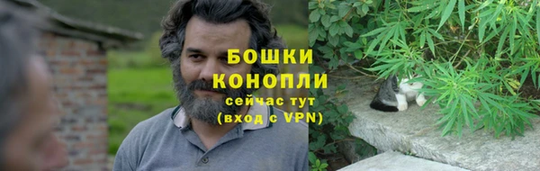гидра Карпинск