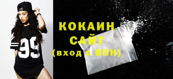 гидра Карпинск