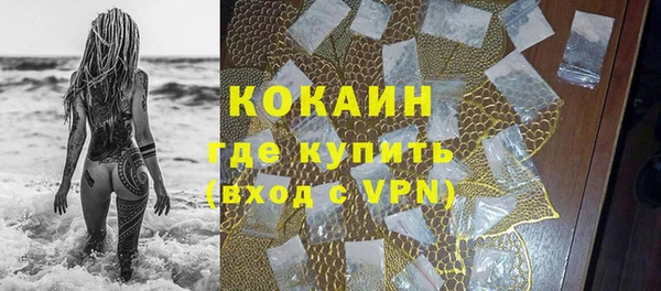 гидра Карпинск