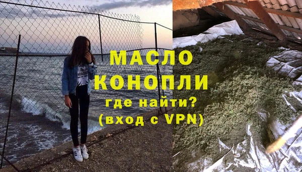 гидра Карпинск