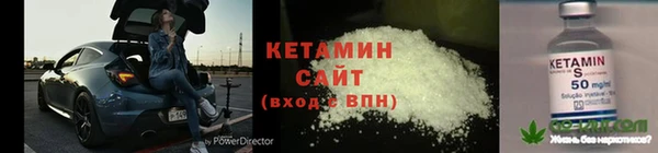 гидра Карпинск