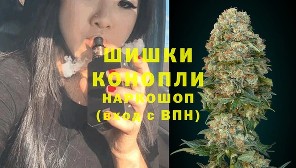 мяу мяу мука Касимов