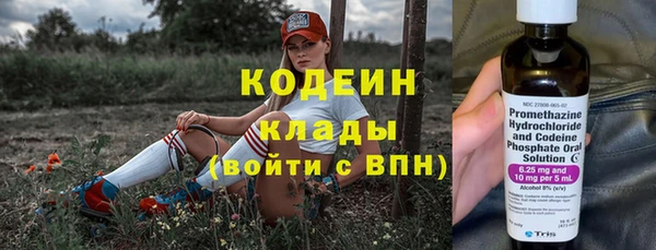 гидра Карпинск
